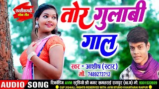 Ashish Star Cg Song Tor Gulabi Gaal New Chhattisgarhi Gana Cg Dj Song 2024 Avm Tadka