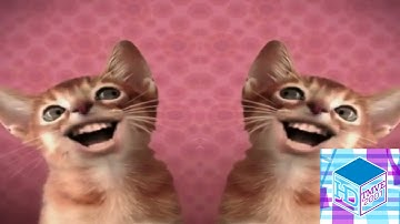 Preview 2 Numa Cat Effects | iiSharkBus