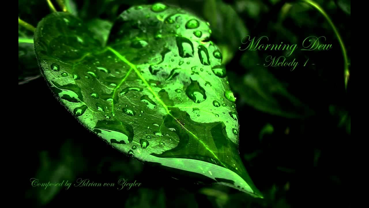 洋楽 Celtic Harp: Morning Dew Celtic Harp - The Morning Dew - Aryeh Frankfurter (Blind