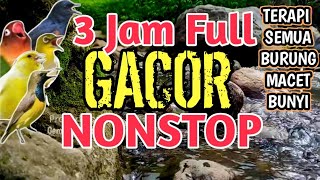 Download Lagu 100% AMPUH‼️ BIKIN GACOR‼️ 3 Jam Suara Gemericik Air Sungai Alami, Terapi Burung Stres/Macet Bunyi  MP3