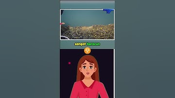 Mysteri Mematikan: Danau Bawah Laut yang Membunuh Segera!