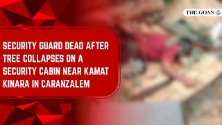 Security guard dead after tree collapses on a security cabin near Kamat Kinara in Caranzalem