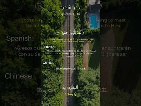 تلاوة رائعة من سورة البقرة اية 45 47 للقارئ عمير شميم