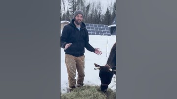 Why an A-frame? 🤔