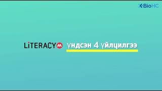 Four Core Services of LiteracyM