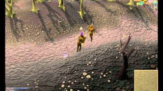 Runescape Bronze Armour Fight