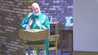 Homily - 20th Sunday in Ordinary Time