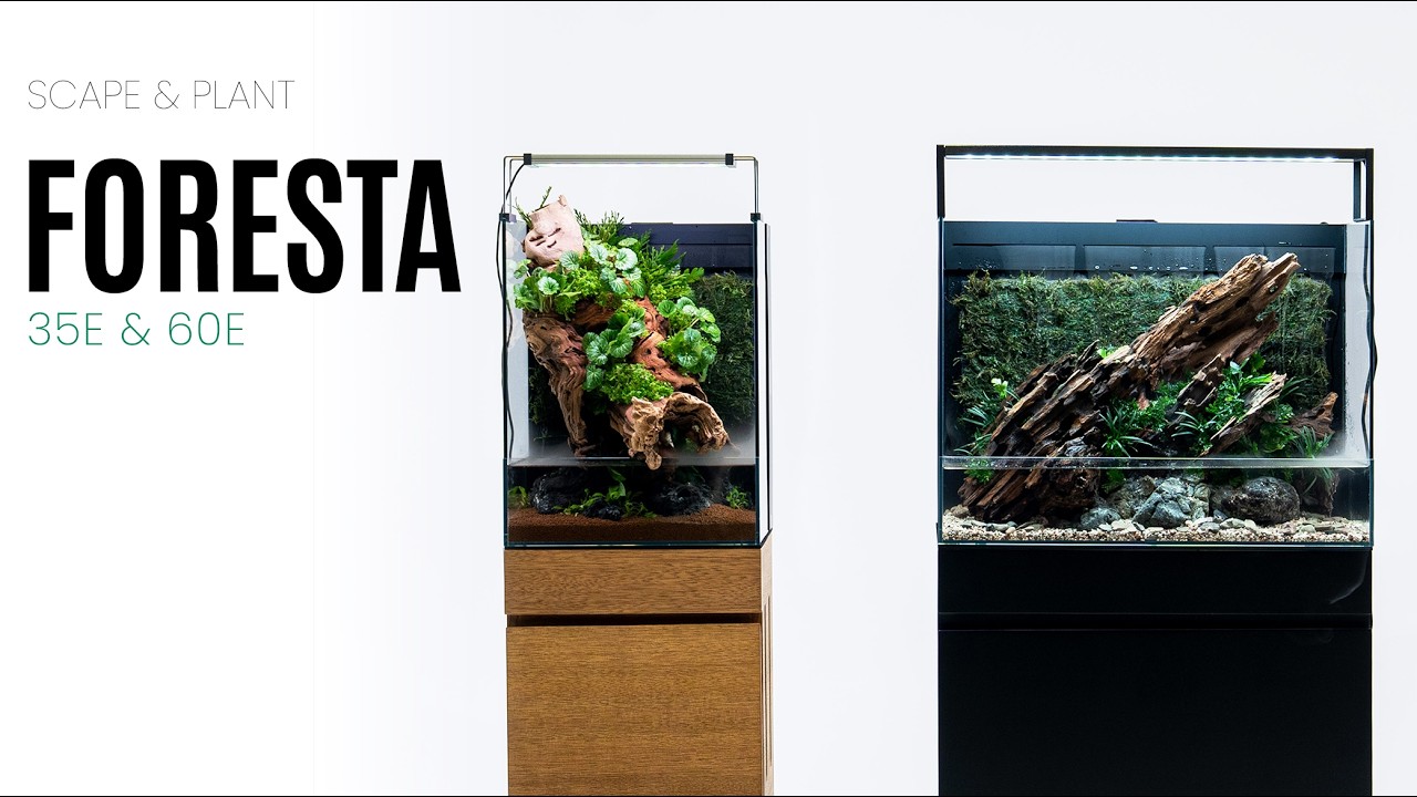 In this video, we’re putting the UNS Foresta Paludarium v2 to the test with two brand-new builds.Join us as we compare the Foresta v1 vs v2, break down the updated design, and scape both the 35E Foresta v2 and 60E Foresta v2 from start to finish. We walk through the biggest improvements to the tank, including the redesigned misting and drip tray system, improved water flow, and how the updated layout creates better long-term consistency for moss walls and plant growth.Follow the entire scape and planting process as John and Parker build two completely different styles using natural hardscape, aquarium glue and adhesives, and layout composition. Whether you're looking for paludarium inspiration, aquascaping ideas, terrarium design tips, moss wall setups, or a step-by-step paludarium build process, this video has plenty of ideas for your next project!Learn more here: https://ultumnaturesystems.com/foresta-integrated-paludariumFollow us on social!
Instagram: https://www.instagram.com/ultumnaturesystems/
Facebook: https://www.facebook.com/ultumnaturesystems/