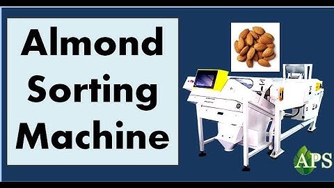 Almond Sorting Machine, Almond Colour Sorting Machine