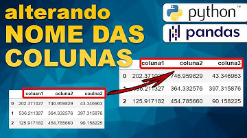 Python PANDAS - Como alterar o nome das colunas