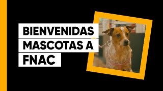Vídeo Spot - Fnac da la bienvenida a tus mascotas | Perros y Gatos |