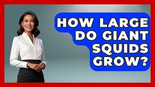 How Large Do Giant Squids Grow? - The Marine Life Explorer