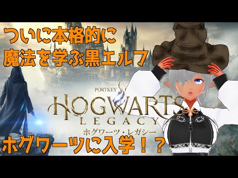 【ホグワーツ・レガシー】ついに本格的に魔法を学ぶ黒エルフ！ホグワーツに入学する！08