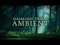 Ancestral shamanic tribal ambient by paleowolf