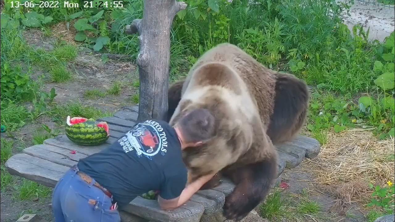 Андрей Иванов и медведь Мансур