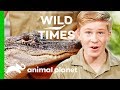 Kangaroos and Alligators, Oh My! | Wild Times