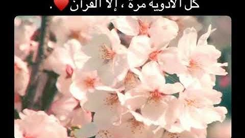 ماهر المعيقلي افمن شرح اللة صدرة للإسلام #قران سورة الزمر.