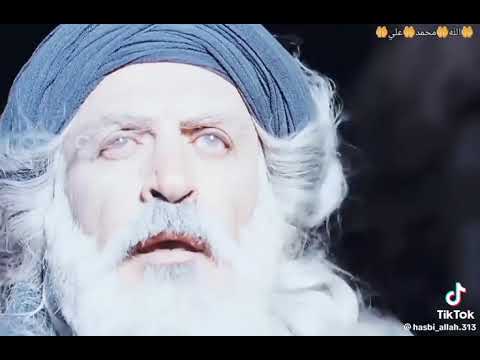 شب به دنیا آمدن رسول الله ص