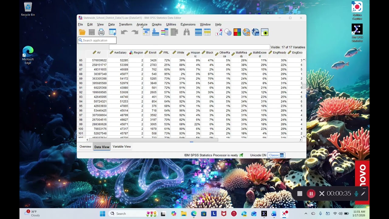 Descriptive Stats ShelbyRuesewald
