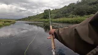 Salmon fishing on the River Thurso August 2023 Day5