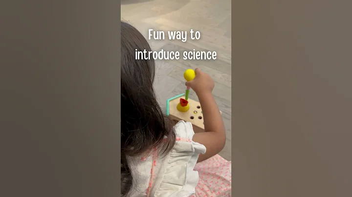 Magnetic Bird Feeder: Endless Joy for 16-Month-Olds 🐦💫 | Montessori Box Level 8