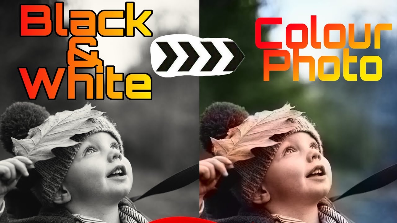 How to convert Black and white photo to Colour photo Purane black and