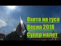 ОХОТА НА ГУСЯ 2018. Весна. ч. 3