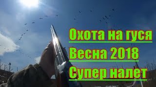 ОХОТА НА ГУСЯ 2018. Весна. ч. 3 Крайний Север. НАО. ОХОТА НА ГУСЯ 2018. Весна. ч. 3 Крайний Север. НАО.