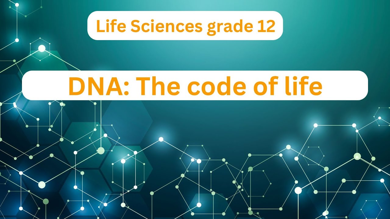 DNA The code of life lesson 1 - YouTube