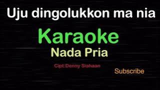 UJU DINGOLUKKON MA NIA -L Batak-Putri Silitonga | KARAOKE NADA PRIA​⁠ -Male-Cowok-Laki-laki@ucokku