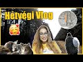 Hétvégi Vlog |  vadles, őzikék, várhódítás😍