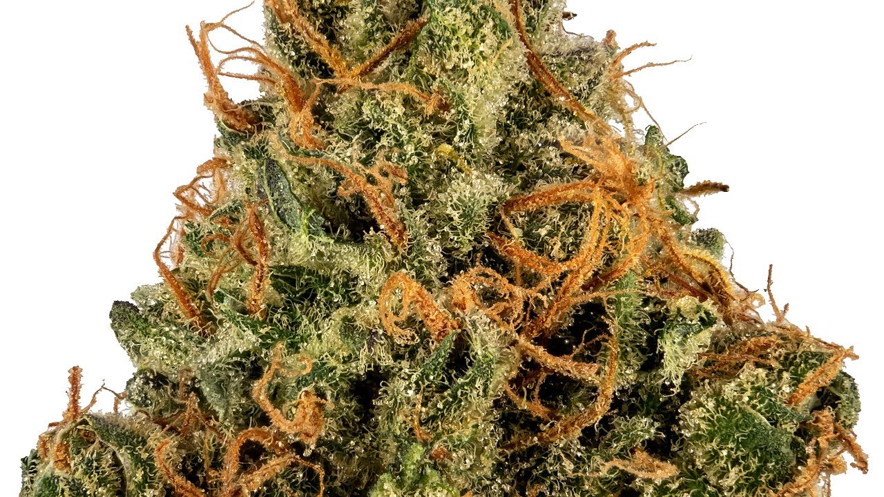 Strain Review: Zelly's Gift