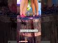 Premium Wine Process ll TOT FACTS
