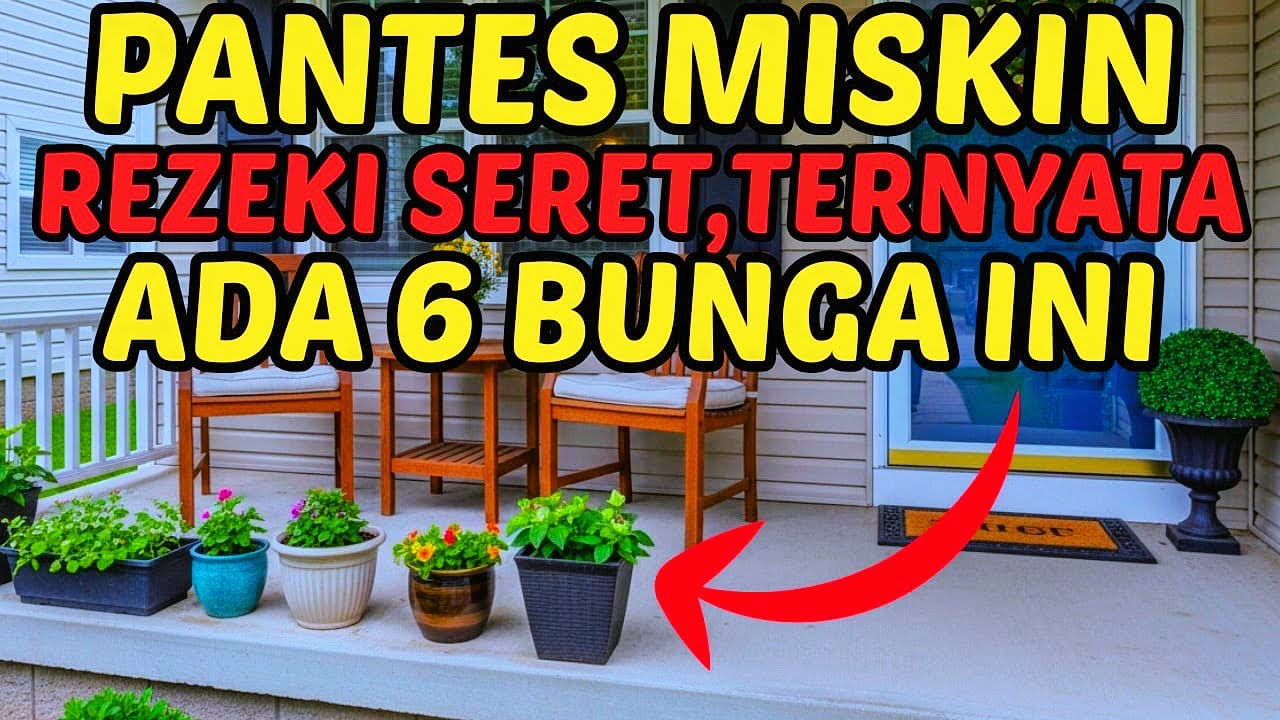 HATI HATI !! 6 Bunga Ini Ternyata Bikin Rezeki Seret! Menurut Primbon Jawa, Singkirkan dari Rumah