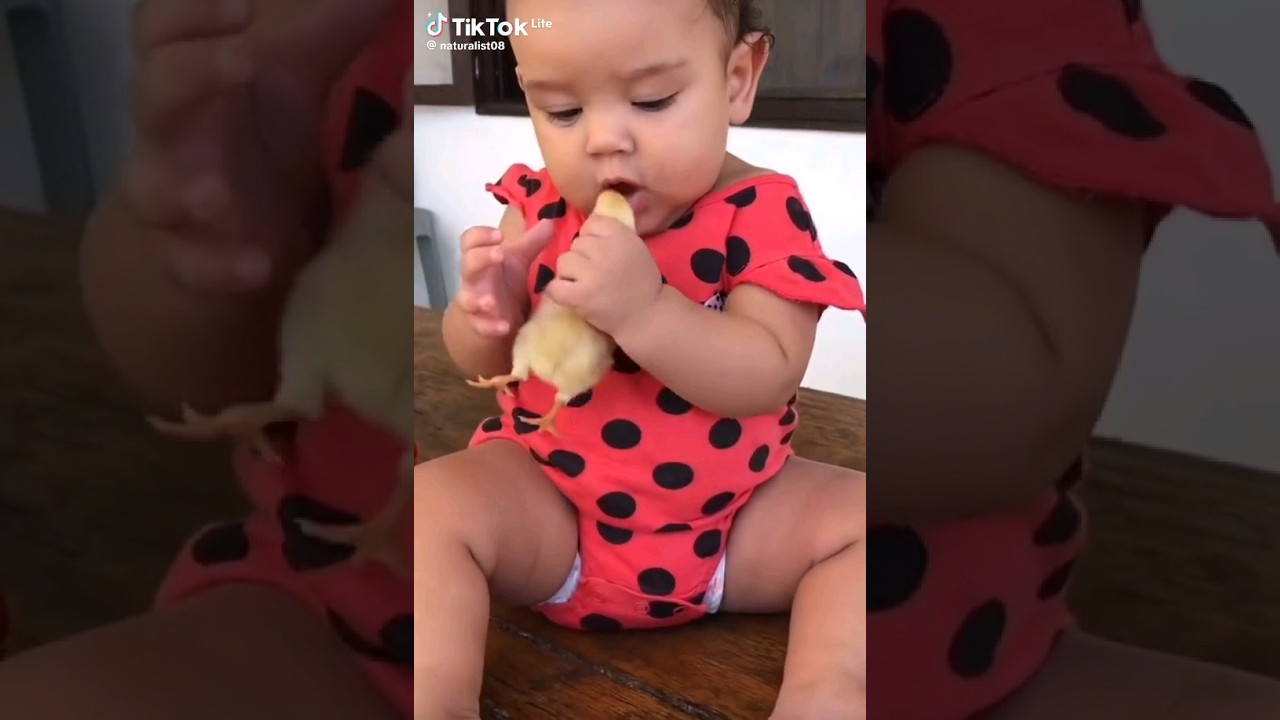 baby-wants-to-eat-live-kfc-kids-life-dontlaugh-dont-forget-to