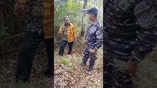 Periuk Tanah yang tumbuh dari dalam tanah tanpa campur tangan manusia😱😱