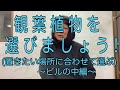 2021/1/16  人工空間（ビルの中）に置く観葉植物の選び方