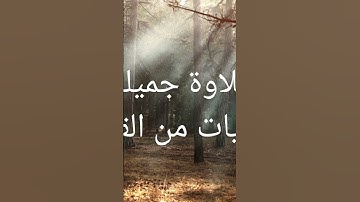 تلاوة جميلة و خاشعة لآيات من القرآن الكريم #تلاوة_خاشعة #اكسبلور #لايك #قران_كريم #اذكار#راحة_نفسية