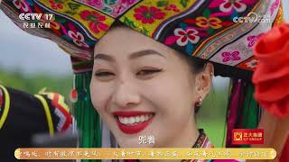 《三农群英汇》 20260724 边境小城出圈记 | 农业致富经 Agriculture And Farming