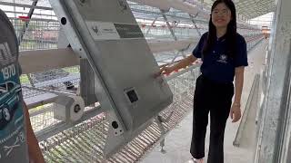 #hightop  #layerfarm #eggfarm  #automatic  #automaticfarm #Atypecage
