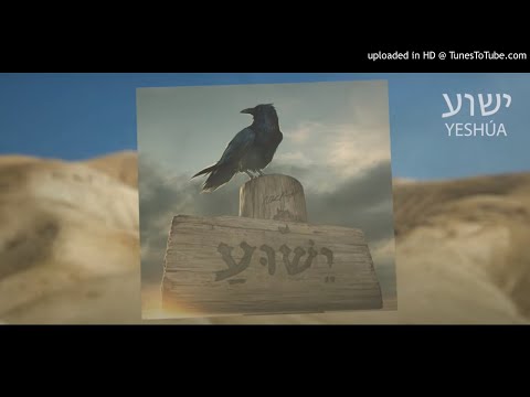 NK Profeta - Amor [Yeshúa] (Audio)