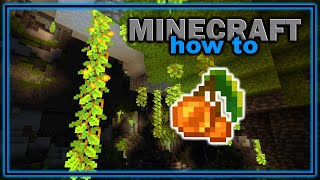 How to Find and Use Glow Berries and Cave Vines! (1.18+) | Easy Minecraft Tutorial