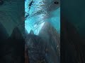 The Cerulean Vortex: The Mesmerizing Spiral of a Submerged Glacial Whirlpool | Life in a Blink