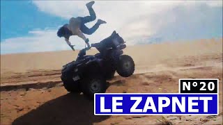 Zapnet - Le Zapping Du Web N20