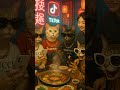 Meet the Internet’s Most Viral Cats!