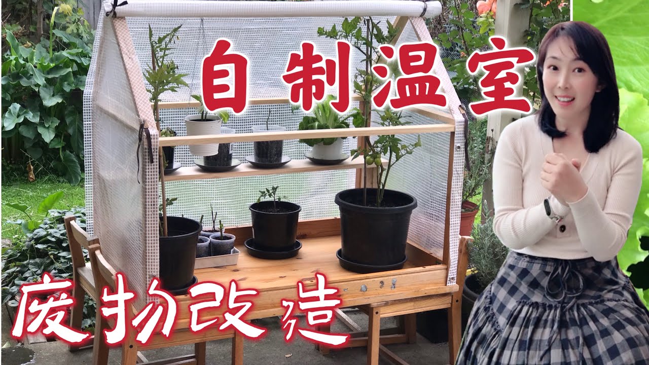 种植40 自制小温室 暖棚diy Greenhouse 废物利用 旧物改造 育苗神器 简单快速how To Build A Small Greenhouse Youtube