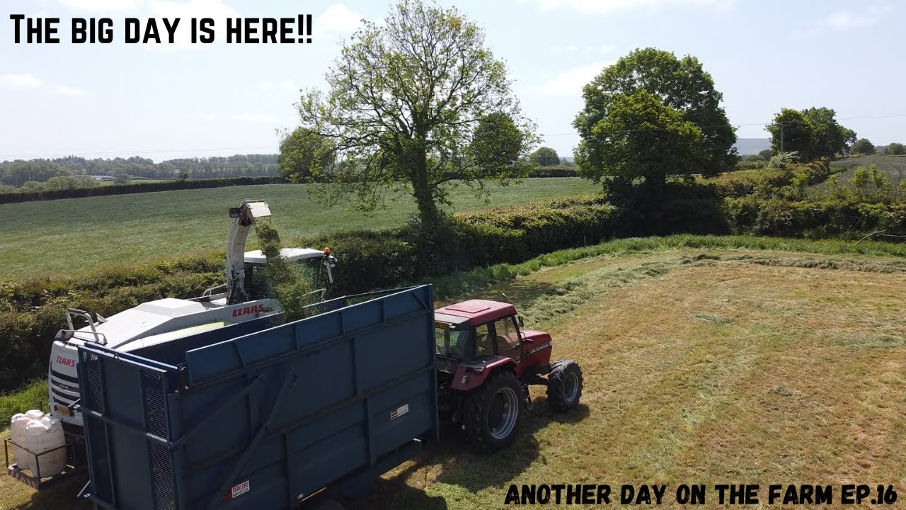 The big Day is here!!!! Another Day on the Farm Ep.16 - YouTube
