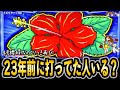 【約3回に1回は天国へ!?】32G目で小役を引けばボーナス濃厚!?沖スロ史上一番価値ある32G目がここにある!【ハイビリターン-30】