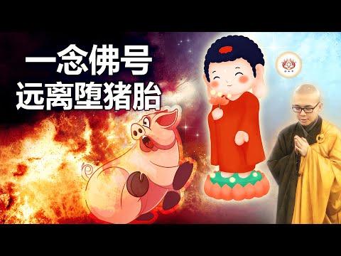 一念佛号 远离堕猪胎 👼（真实故事） | 净本法师 主讲
