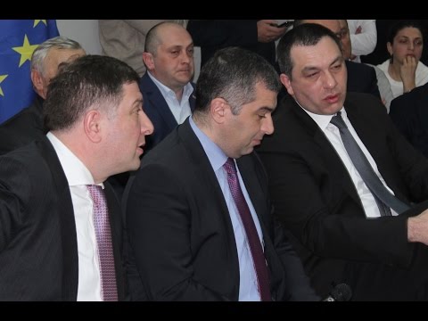 რა ხდებოდა ენმ-ის ყოფილი ლიდერების ახალი პარტიის პრეზენტაციაზე